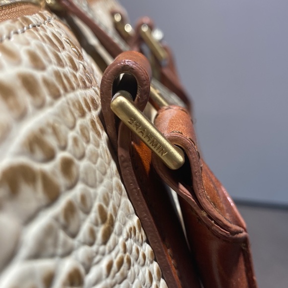 Brahmin - Picture 4 of 10